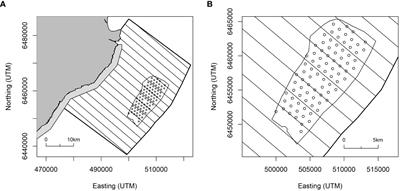 A new method for quantifying redistribution of seabirds within operational offshore wind farms finds no evidence of within-wind farm displacement